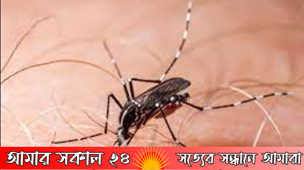 "ডেঙ্গু চিকিৎসা ও সচেতনতা প্রদানে সাফল্য হাসিল হচ্ছে।"