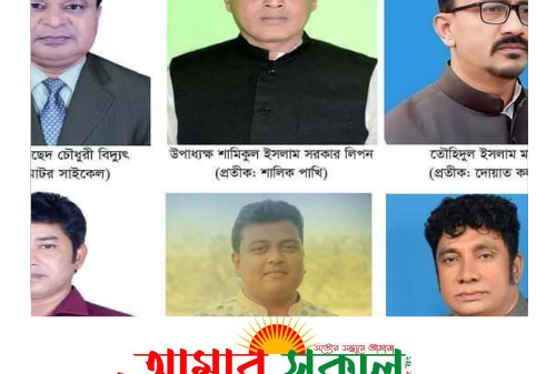 পলাশবাড়ী উপজেলা পরিষদ নির্বাচনে প্রতীক বরাদ্দ