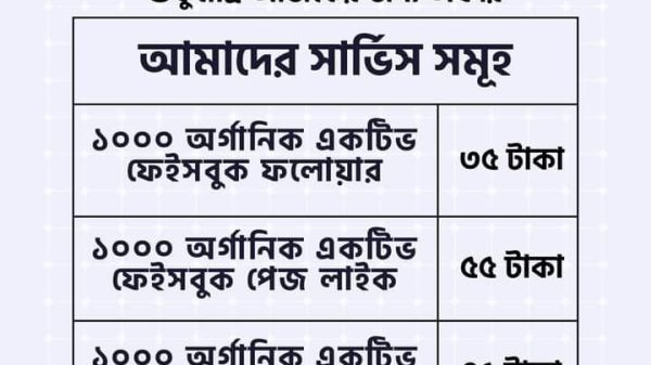 অনলাইনে ফলোয়ার বাড়ানোর কথা বলে লক্ষ লক্ষ টাকা হাতিয়ে নিচ্ছেন প্রতারক চক্র