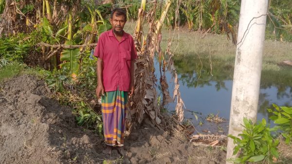 ঘূর্ণিঝড়ে নিঃস্ব মাছ চাষি: সাহায্যের আকুতি আলতাফ বিশ্বাসের