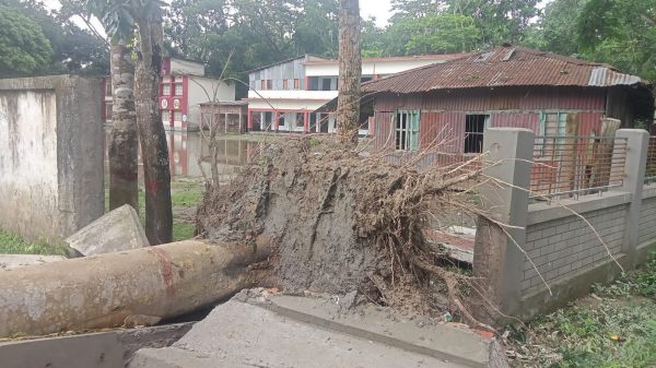 বিদ্যালয়ে "রেমাল" এর তাণ্ডব: এখনও কাটিয়ে উঠতে পারেনি ক্ষয়ক্ষতি