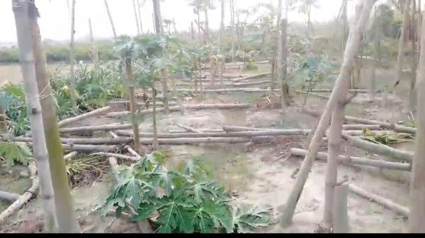 গাবতলীতে জমি নিয়ে বিরোধ, থানায় অভিযোগ