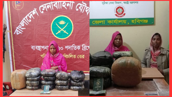 হবিগঞ্জে যৌথ অভিযানে ১৯ কেজি গাঁজাসহ নারী গ্রেফতার