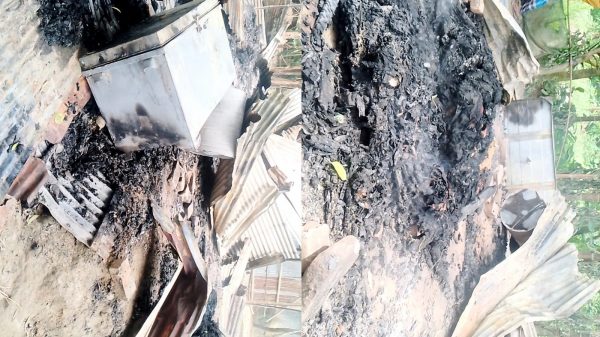 গাবতলীতে আগুনে বিধবার ঘর ছাই থানায় অভিযোগ