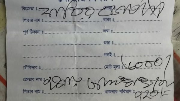 নেছারাবাদে নৌকার হাটে দ্বিগুণ খাজনা আদায়ের অভিযোগ