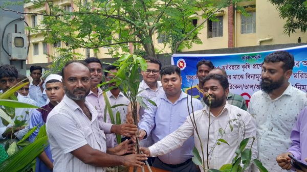 জগন্নাথপুরে কৃষি অফিসে বীজ ও চারা বিতরণ