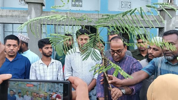 বিদায় মুহূর্তে বৃক্ষ রোপণ, স্মৃতিতে থাকবেন ইউএনও নজরুল ইসলাম