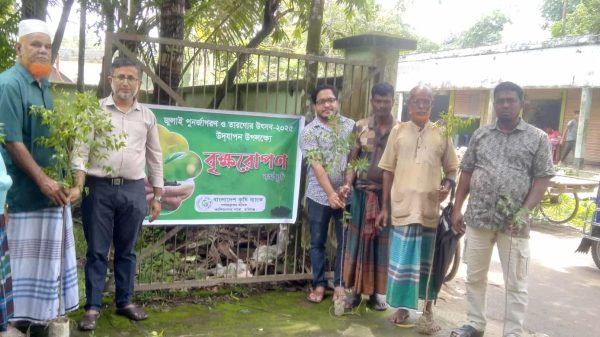 কাশিমনগরে কৃষি ব্যাংকের বৃক্ষরোপণ কর্মসূচি