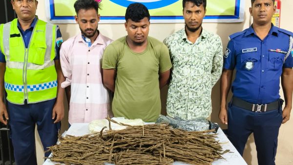 বগুড়ায় ৩ কেজি গাঁজাসহ তিন মাদক কারবারি গ্রেপ্তার