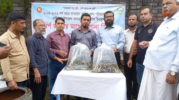 আলীকদমে মৎস্যচাষীদের মাঝে বিনামূল্যে পোনা বিতরণ