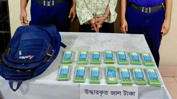 বগুড়ায় ৭ লক্ষ টাকার জাল নোটসহ এক ব্যক্তি গ্রেফতার