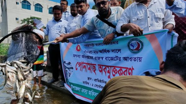 জগন্নাথপুরে হাওর ও জলাশয়ে ৪৪৫ কেজি মাছের পোনা অবমুক্তকরণ করা হয়
