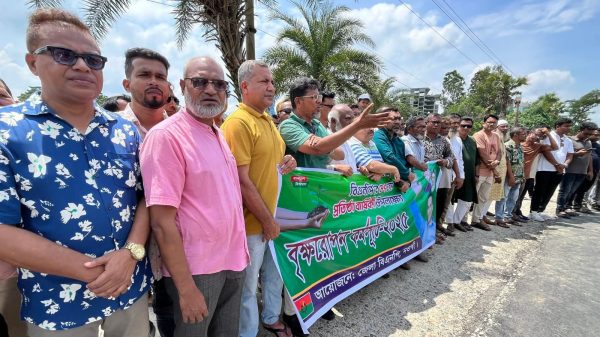 নওগাঁয় বিএনপির বৃক্ষরোপণ কর্মসূচি