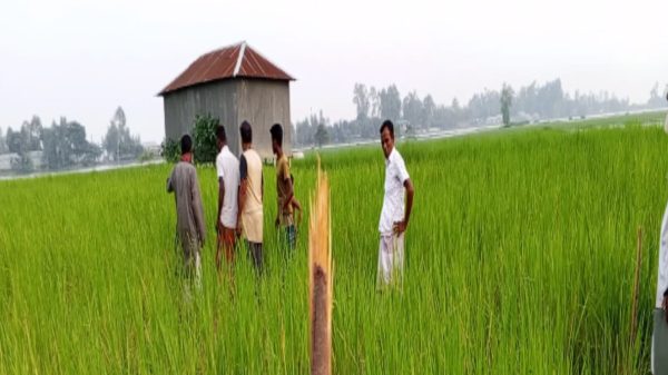 বেলকুচিতে জমি নিয়ে দুই পক্ষের আদালতে মামলা