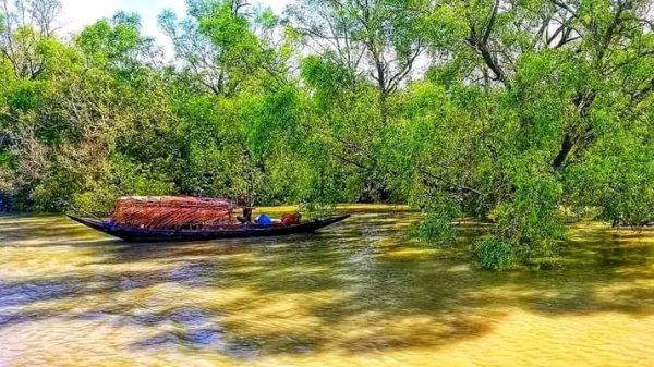 ফের জলদস্যু আতঙ্কে সুন্দরবনের জেলেরা