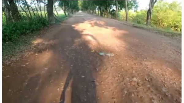 বরগুনা জেলায় সড়কের বেহাল দশা, রক্ষণাবেক্ষণে ফান্ডের অভাব