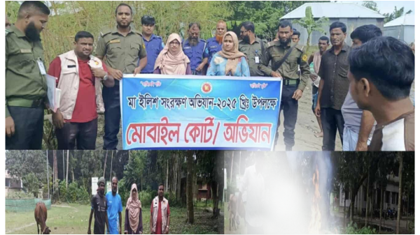 দৌলতপুরে ইলিশ ধরার সময় নৌকা জব্দ ২ হাজার মিটার জাল ধ্বংস