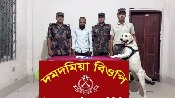 বিজিবির ‘বার্লিন’ ম্যাজিক: ঢাকাগামী বাসে ইয়াবা পাচার ভেস্তে গেল