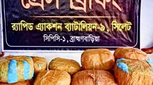 নাসিরনগরে র‌্যাবের অভিযানে ৪০ কেজি গাঁজা ও ৩ জন গ্রেপ্তার