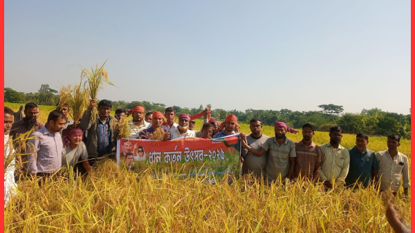 মোংলায় ধান কার্তন উৎসব-২০২৫ উদযাপন, কৃষকরা উৎসবমুখর পরিবেশে ধান কাটলেন