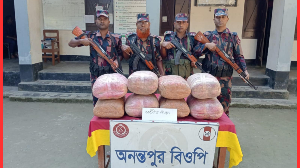 অনন্তপুর সীমান্তে বিজিবির অভিযানে ৪১ কেজি ভারতীয় গাঁজা উদ্ধার