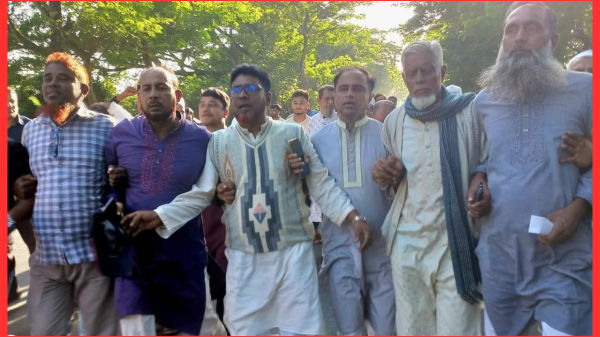 সালথায় বিএনপির অবস্থান কর্মসূচি ও আনন্দ মিছিল