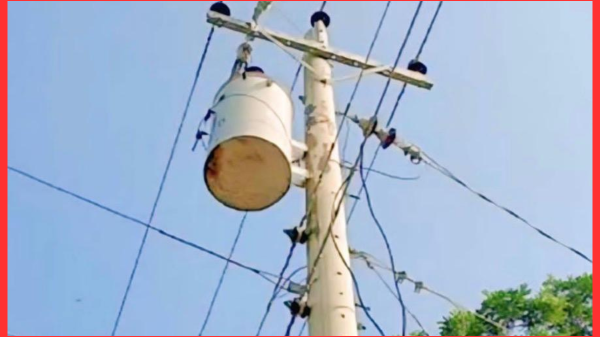 ফরিদপুরে তার চুরি করতে গিয়ে যুবকের মৃত্যু