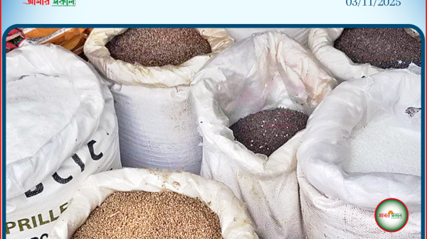 দৌলতপুরে সরকারি সার বেশি দামে বিক্রি, দুই ব্যবসায়ীকে জরিমানা