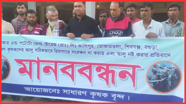 শিবগঞ্জে আলু নষ্টের প্রতিবাদে কৃষকদের মানববন্ধন