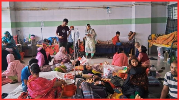 ডেঙ্গুর পরে শীতের শুরুতেই বরগুনায় নিউমোনিয়ার তাণ্ডব, শিশু ওয়ার্ডে ধারণক্ষমতার তিন গুণ রোগী