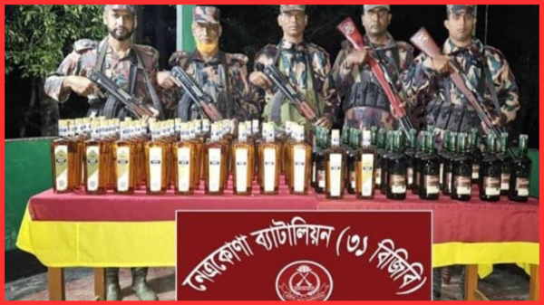 দূর্গাপুরে বিজিবি অভিযানে ৭১ বোতল ভারতীয় মদ জব্দ