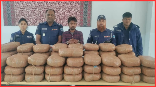 ব্রাহ্মণবাড়িয়ায় বিশেষ অভিযানে কসবা থানা পুলিশের ১২০ কেজি গাঁজা উদ্ধার
