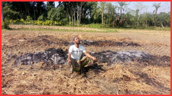 ঝিকরগাছায় দুর্বৃত্তদের আগুনে কৃষকের ধান পুড়ে ছাই