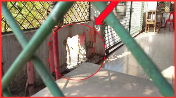 আলিপুর সার্বজনীন পূজা মন্দিরে দুঃসাহসিক চুরি