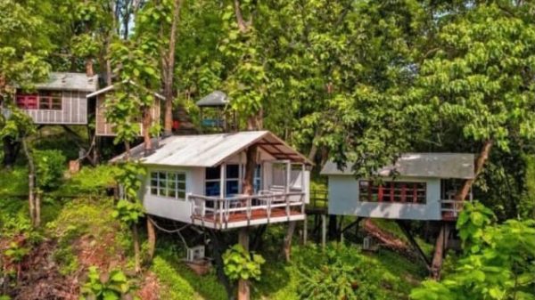 বান্দরবানে পরিবেশ হানির দায়ে ৭ প্রতিষ্ঠানের জরিমানা