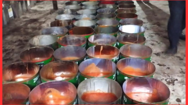 ফরিদপুরে ভ্রাম্যমাণ আদালতের অভিযান: সাড়ে ৬ হাজার কেজি ভেজাল গুড় জব্দ