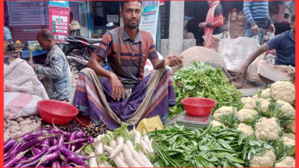 নওগাঁয় আগাম শীতকালীন সবজির সরবরাহ বেড়েছে, দাম সামান্য বাড়ল