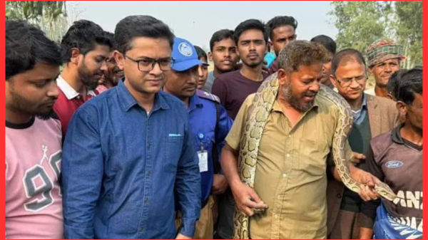কুড়িগ্রামে ৯ ফুট লম্বা অজগর উদ্ধার, এলাকায় চাঞ্চল্য
