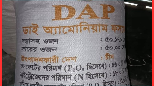 কাহালুতে সারের অস্বাভাবিক মূল্যবৃদ্ধিতে বেহাল দশা দিশেহারা সাধারণ কৃষক