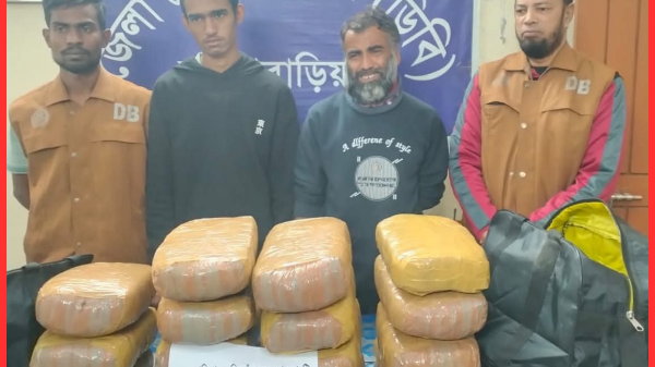 ব্রাহ্মণবাড়িয়ায় ৩০ কেজি গাঁজাসহ ২ মাদক কারবারি গ্রেফতার