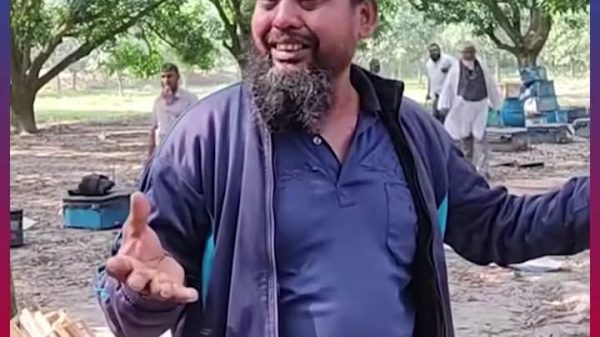 সাতক্ষীরার শত্রুতার জেরে বিষ স্প্রে করে ২০০ বক্স মৌমাছি নষ্ট