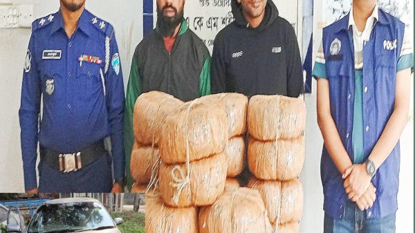 ব্রাহ্মণবাড়িয়ার ৩৬ কেজি গাজাসহ যুবদল নেতা আটক