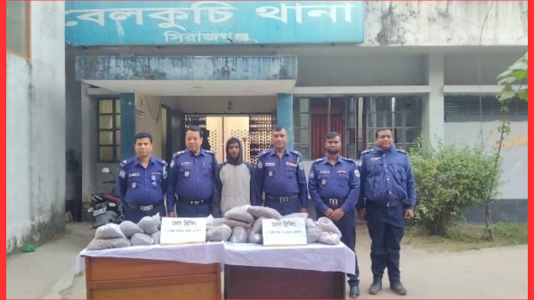 বেলকুচিতে ২০ কেজি গাঁজাসহ যুবক গ্রেফতার