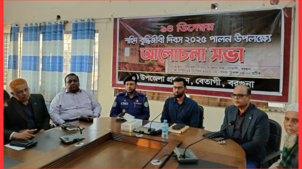 শহীদ বুদ্ধিজীবী দিবস উপলক্ষে বেতাগীতে আলোচনা ও দোয়া মাহফিল