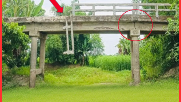 এক যুগ ধরে ঝুঁকিপূর্ণ নারানদিয়া সেতু, চরম আতঙ্কে হাজারো মানুষ