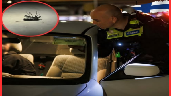 চুরি হওয়া গাড়িতে পাওয়া মশার রক্তের ডিএনএতেই শনাক্ত চোর