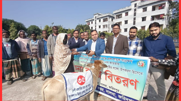 সালথায় দেশীয় প্রজাতির মাছ ও শামুক রক্ষায় জেলেদের মাঝে বকনা বাছুর বিতরণ