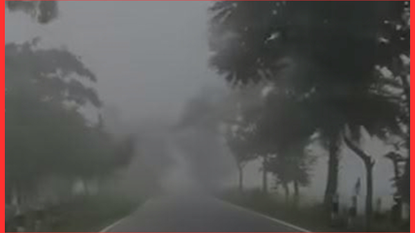 আত্রাইয়ে ঘন কুয়াশা ও হিমেল হাওয়ায় তীব্র শীত, বিপাকে খেটে খাওয়া মানুষ