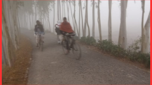 কুড়িগ্রাম–রংপুরে প্রচণ্ড শীত ও ঘন কুয়াশায় জনজীবন স্থবির