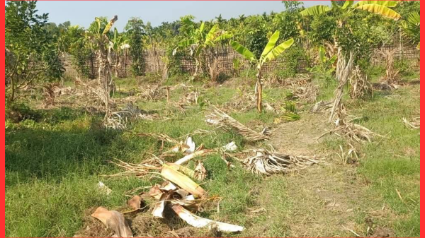 বাহারছড়া শীলখালীতে সন্ত্রাসী হামলা